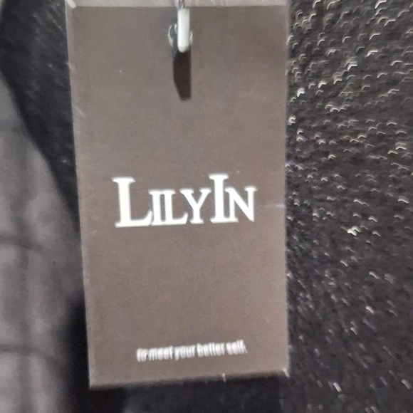 Elegant Black Shimmer Dress - Picture 4 of 5